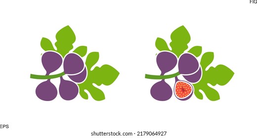 Fig logo. Isolated fig on white background