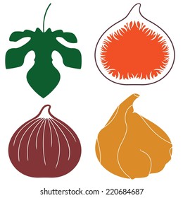 Fig logo. Isolated fig on white background