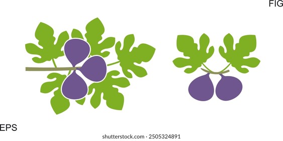 Logotipo de la higuera. Higo aislado sobre fondo blanco