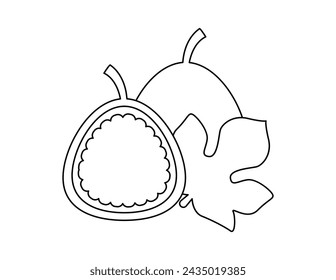 fig outline for coloring book template, fig for kids illustration worksheet printable