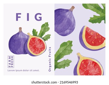 Fig packaging design templates, watercolour style vector illustration.