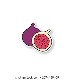 Fig patch. Common fig fruit. Color sticker. Vector isolated illustration