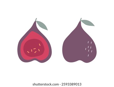 Fig, slices and whole fruit. Set of simple abstract fruits. Vitamin natural vegetarian food. Color flat illustration, vector graphics. Isolated white background.