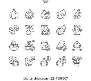 Fig. Summer tropical fruit. Whole and half fig. Food shop, supermarket. Fig smoothie. Pixel Perfect Vector Thin Line Icons. Simple Minimal Pictogram