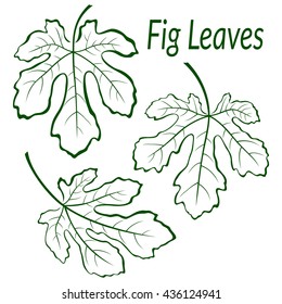 Abb. Tree Green Leaves Set, Outline Contour Piktogramme einzeln auf weißem Hintergrund. Vektorillustration