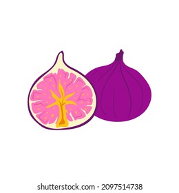 Fig. Tropical fruit and graphic design elements. Ingredients color cliparts. Sketch style smoothie or juice ingredients.