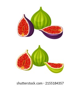 Fig tropical fruit set. Whole and sliced green and purple exotic fruit for healthy diet vector illustration