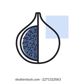 Fig tropical fruit vector icon. Graph symbol for food and drinks web site, apps design, mobile apps and print media, logo, UI