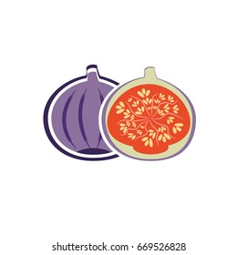 fig vector