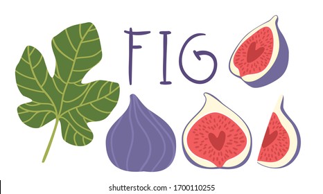 Fig vector cartoon elements and lettering set. The inscription 