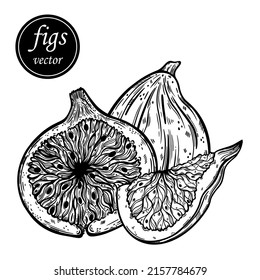 Fig vector icon. Hand drawn sketch of tasty mediterranean fruit. Fresh dessert whole, half, slice. Natural healthy food, tropical berry outline. Botanical illustration isolated on white background