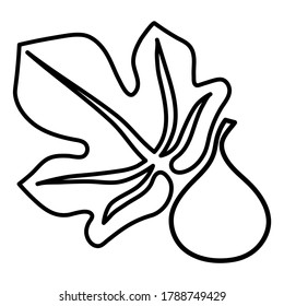Fig vector icon outline style 