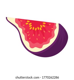Fig vector icon.Cartoon vector icon isolated on white background fig.