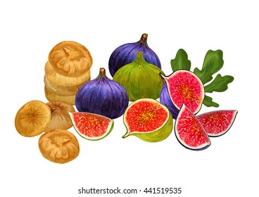Fig. Vector illustration. Composition from fresh and dried fruits figs and leaves