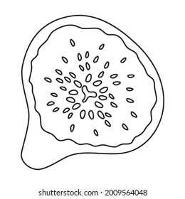 Fig vector outline icon. Vector illustration slice fruit on white background. Isolated outline illustration icon of fig.