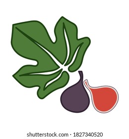 Fig Vector Simple Illustration With Leaf And Halfcut On White Background