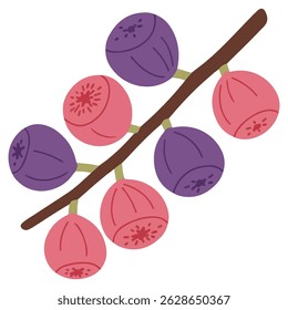 Fig whole fruits isolated on a white background. Cartoon icon for package design. Vector illustration of tropical fruits in flat style