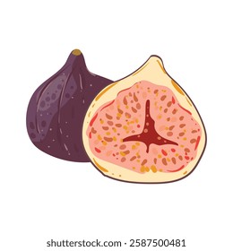 Fig whole and slice. Southern exotic purple fruit. Vector illustration in flat style isolated on white background.