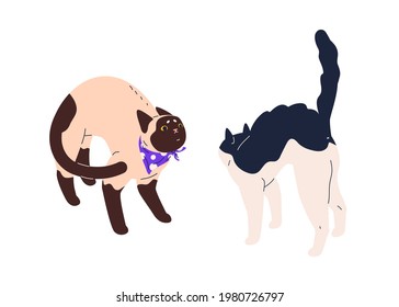 Fight of two angry cats with arched backs. Conflict of cute kitties with strained discontent face expressions, standing in front of each other. Flat vector illustration of catfight isolated on white