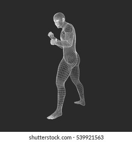 Fighter. 3D Model of Man. Human Body. Sport Symbol. Design Element. Vector Illustration. 