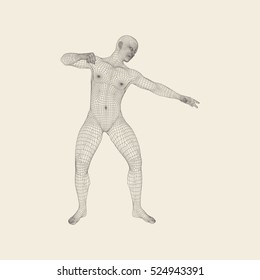 Fighter. Fitness sports. Martial arts. 3D Model of Man. Human Body. Sports Symbol. Design Element. Grid Vector Illustration.