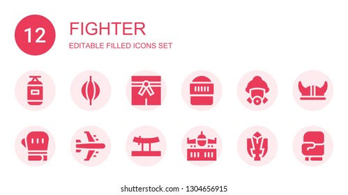 fighter icon set. Collection of 12 filled fighter icons included Punching bag, Martial arts, Warrior, Firefighter, Boxing gloves, Airplane, Katana, Fighting game, Viking helmet