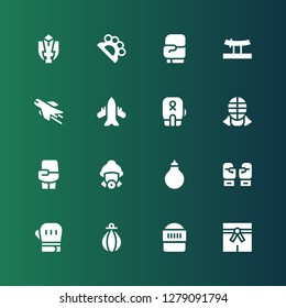 fighter icon set. Collection of 16 filled fighter icons included Martial arts, Warrior, Punching bag, Boxing gloves, Firefighter, Boxing, Kendo, Airplane, Katana, Brass knuckles