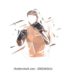 Fighter logo, boxing isolated low polygonal vector illustration, geometric drawing from triangles. Front view, boxing