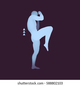 Fighter. Sports concept. 3D Model of Man. Human Body. Sport Symbol. Design Element. Vector Illustration. 