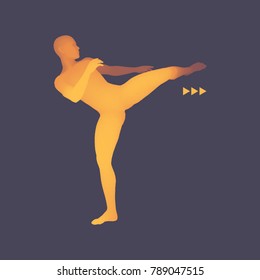 Fighter. Sports concept. 3D Model of Man. Human Body. Sport Symbol. Design Element. Vector Illustration.