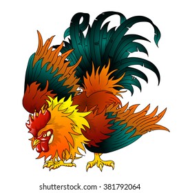 Fighting black-red rooster on a white background