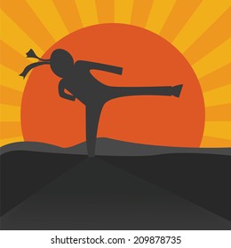 Fighting and business concept, Man silhouette fighter karate post with sun blast.