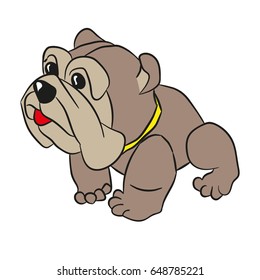 Fighting dog