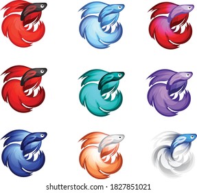 Fighting fish colorful vector illustration