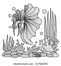 Fighting fish drawing for coloring book.