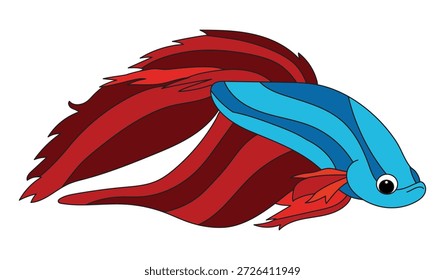 Peces de lucha aislados sobre fondo blanco