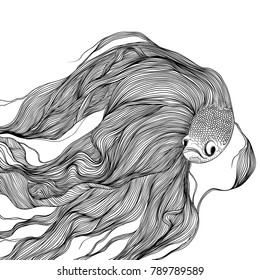Fighting fish swimming, black and white line art ink drawing