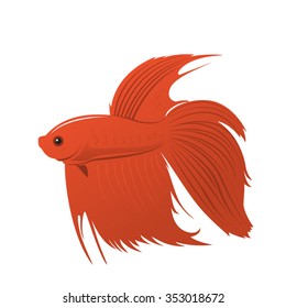 fighting fish. Vector