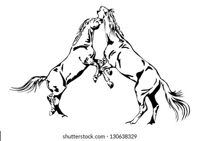 fighting horses - black and white vector outline