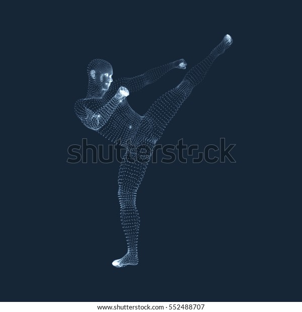 Fighting Man 3d Model Man Human Stock Vector (Royalty Free) 552488707 ...