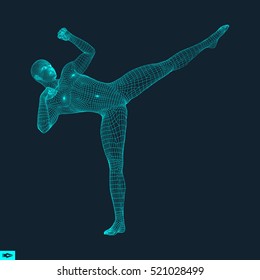 Fighting Man. 3D Model of Man. Polygonal Design. Business, Science and Technology Vector Illustration. 3d Polygonal Covering Skin. Human Polygon Body. Human Body Wire Model. 