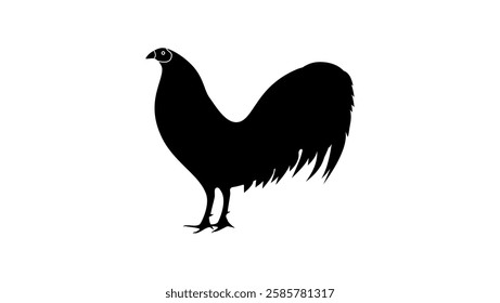 Fighting Rooster, Black Isolated Silhouette