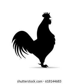 Fighting rooster silhouette isolated on white background