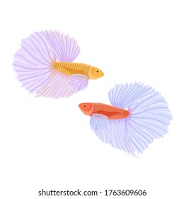 Fighting siamese fishes vector illustration, isolated on white background. Cartoon betta or cockerel fishes in flat style. Different layers.