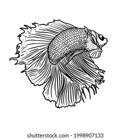 Kämpfe Fisch, Vektorgrafik mit schwarzer Farbe einzeln auf weißem Hintergrund