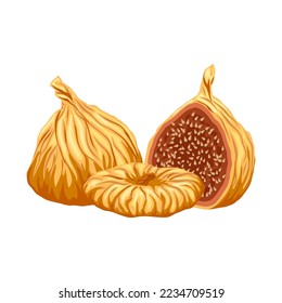 figs dried fruit cartoon. dry food, fig snack, organic healthy, dessert sweet, fresh natural, tasty figs dried fruit vector illustration