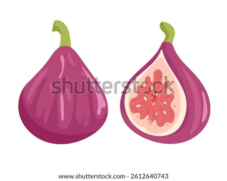 Figs. Flat vector, clipart illustration isolated on white background.