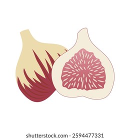 figs fruit appearance, cross section of fruit. Illustration material with a transparent background.