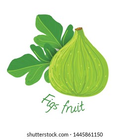 Figs fruit doodle drawings vector illustration.