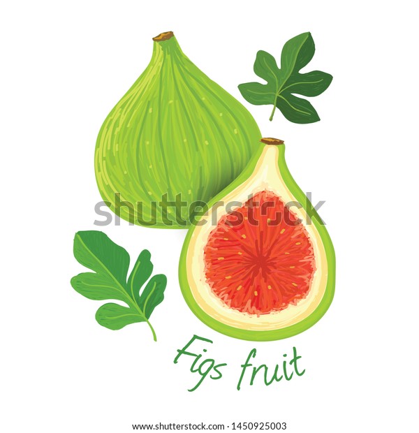 Figs Fruit Doodle Drawings Vector Illustration Stock Vector (Royalty